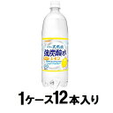 伊賀の天然水 強炭酸水 レモン 1000ml 1ケース12本入 サンガリア テンネンキヨウタンサンレモ1000*12