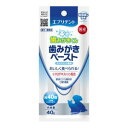 エブリデント 歯みがきペースト 40g アース・ペット エブリデントハミガキペ-スト