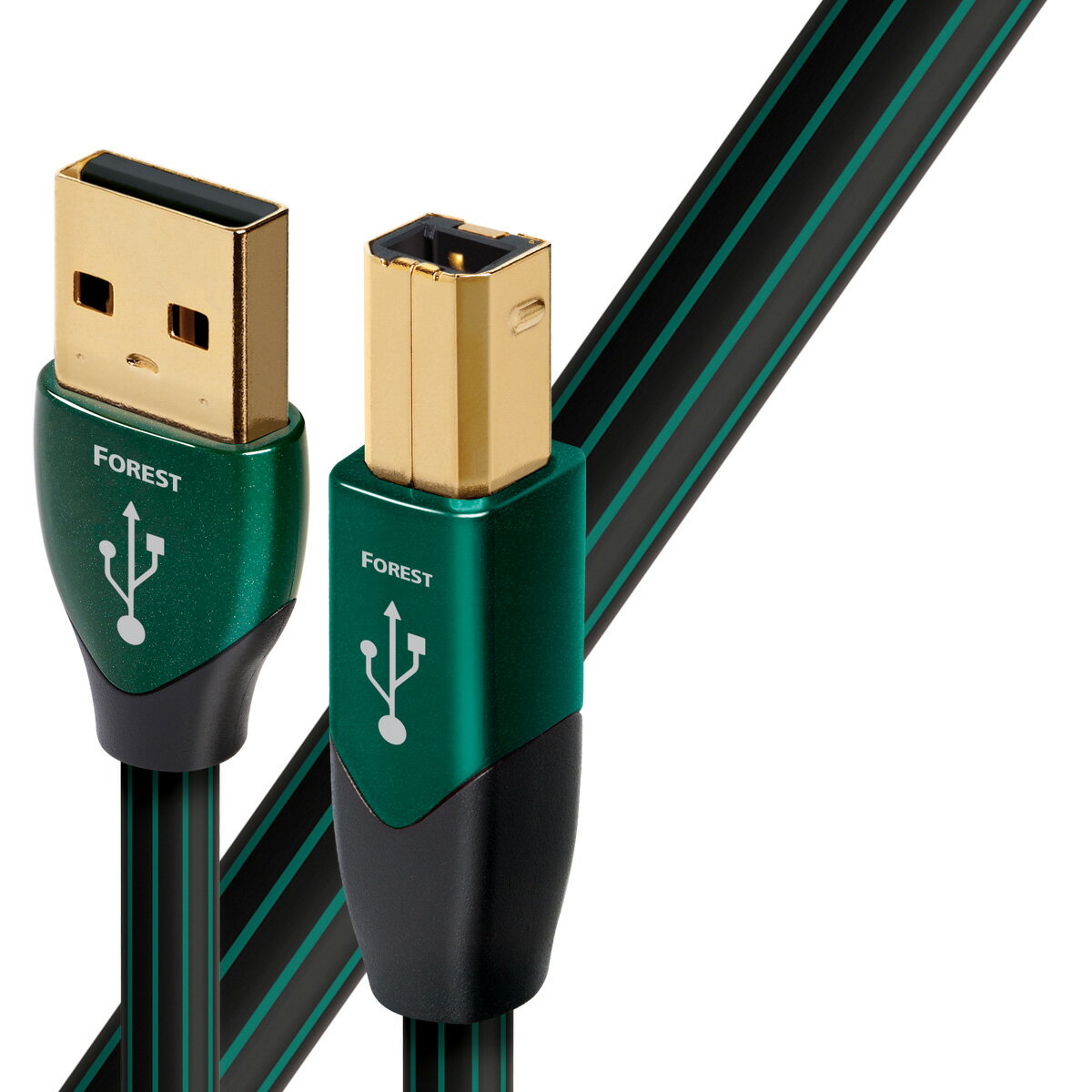USB2 Forest 0.75M/A to B ǥ ǥ졼USB֥(0.75m1)Aۥע͡Bۥ audio-questȥե쥹ȡ