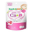 ビーンスタークマム 毎日Ca(カルシウム)+鉄 40粒 ビーンスターク・スノー BSSマイニチカルシウム+テツ
