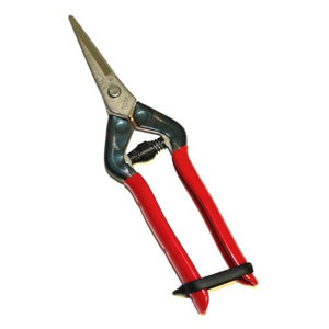 【返品種別B】□「返品種別」について詳しくはこちら□◆果樹の摘果、野菜の収穫に最適。ステンレス刃。◆大阪堺は刃物の町堺伝統の切れ味■　仕　様　■全長（約）：185mm、重量（約）：105g、刃：高級ステンレス刃物、柄：鋼板製　プラスチックコ...