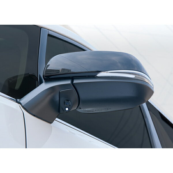 データシステム 車種別サイドカメラキット（LED内蔵タイプ）アルファード/ヴェルファイア用 SCK-65A3A Data system