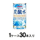 きれいな炭酸水 缶 185ml(1ケース30本入) サンガリア キレイナタンサンスイカン185MLX30