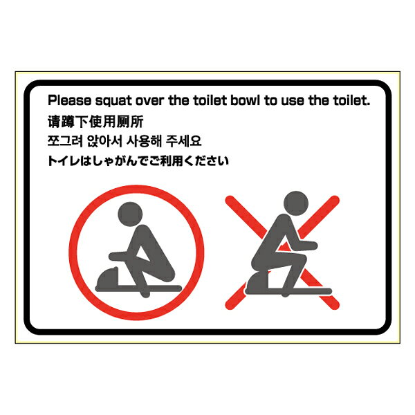 ヒサゴ はがせる！ピタロングステッカー トイレの使用方法(和式)［A4/ヨコ1面/1シート］ HiSAGO KLS057