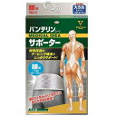 バンテリンサポーター 腰用 男女兼用 大きめ シャイニンググレー L(80〜100cm) 興和 Vサポ-タ- コシヨウオオキメSG