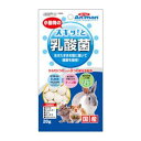 小動物のスキッ!と乳酸菌 20g ミニアニマン ドギーマンハヤシ シヨウドウスキツ!トニユウサンキン20