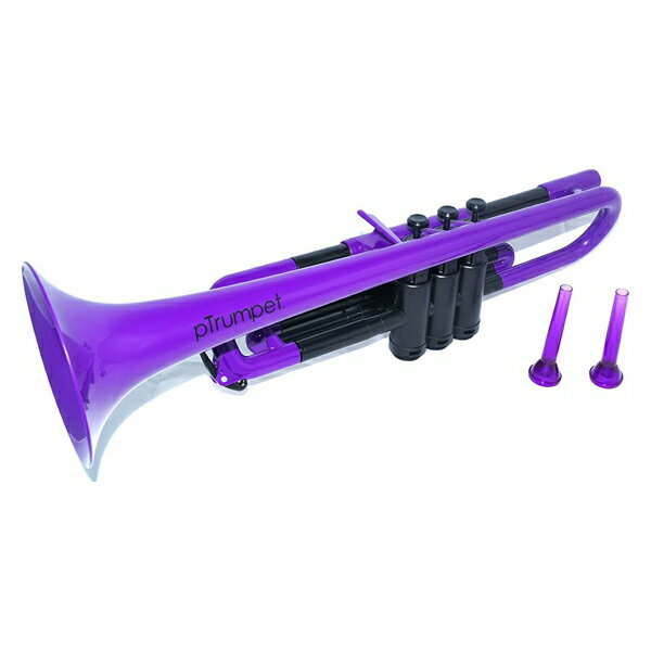 PTRUMPET1P/PURPLE PINSTRUMENT ԡȥڥåȡʥѡץ PTRUMPET