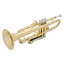 PTRUMPET1HTG/GOLD PINSTRUMENT ピー・トランペット（ゴールド） pTrumpet hyTech