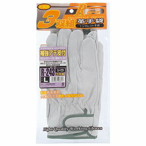 �����դ����� �׼��� �䶯�������� �ޥ��å� 3���ȡ�LL�������� 211528R-243