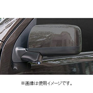 データシステム 日産車用車種別サイドカメラキット（LED内蔵タイプ） SCK-41C3A Data system