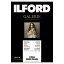 ե 󥯥åѻ ɥեСѡ   KG(102mm152mm) 50 ILFORD GALERIE Gold Fibre Pearl ꡼ ե󥢡 Х饤 433201