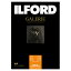 ե 󥯥åѻ ե󥢡 ࡼѡ  ࡼޥå̼ A3 25 ILFORD GALERIE FineArt Smooth Pearl ꡼ ե󥢡 ޥå 432617