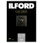 ե 󥯥åѻ ꥹ륰   A3 25 ILFORD GALERIE Crystal Gloss ꡼ ץեȥڡѡ 433257