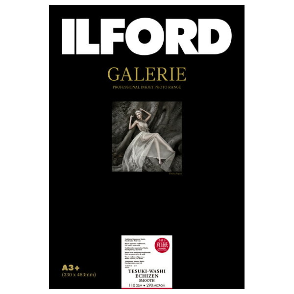 ե 󥯥åѻ »  ࡼ(110gsm) ࡼޥå̼ Deckle Edge A3+ D 10 ILFORD GALERIE Tesuki-Washi EchiZen Smooth ꡼ ե󥢡» 433311