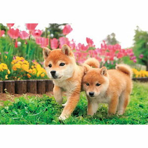 最安値 300ピース ジグソーパズル いっしょに走るわん 26x38cm の価格比較 最安値 300ピース ジグソーパズル いっしょに走るわん 26x38cm の価格比較