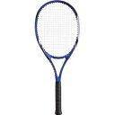 GOS-MTWETBL ゴーセン 硬式テニスラケット WIZ