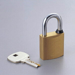 エレコム 南京錠 （ゴールド） ESL-NKD