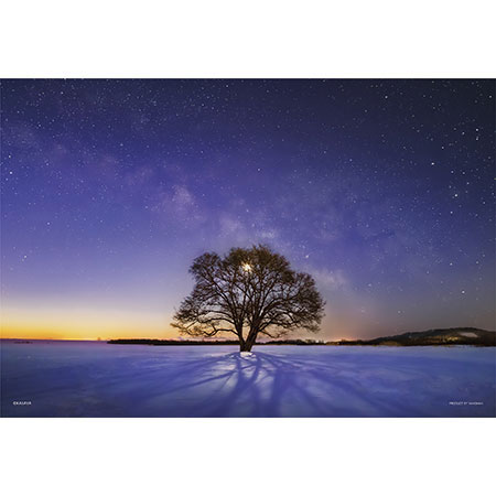 やのまん KAGAYA ハルニレの木と天の川（北海道） 300ピース 光るパズル【03-906】 ジグソーパズル