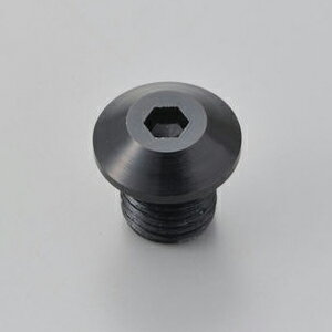 デイトナ ミラー穴埋めボルトM10 逆ネジタイプ(ブラック) 99617 DAYTONA