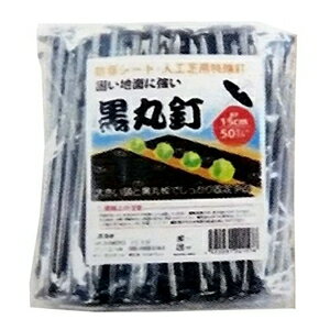 シンセイ 防草シート 押さえ用 黒丸釘 10セット（15cm） 35720