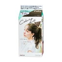 パルティ カラーリングミルク 魅惑のアッシュ ダリヤ P カラ-Rミルク ミワクノアツシユ(4)