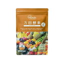 万田酵素 GINGER ペースト(分包)タイプ 31包 万田酵素 マンダコウソGブンポウ31H