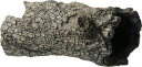観賞魚 水槽用品 アクアリウム トンネル流木 丸太 S スドー トンネルリユウボクマルタS