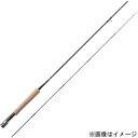 FBM906-2 天龍 フェイテス ベーシックマスター 9.0ft 2ピース 6番 TENRYU Fates Basic Master フライロッド