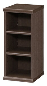 【返品種別A】□「返品種別」について詳しくはこちら□※天板に穴加工がされていないため、天井上置きつっぱり棚を取り付けることはできません。※組立時、プラスドライバーとゴムハンマーが必要になります。◆奥行き約31cmで本棚に最適。(有効内寸約27.8cm)◆3cmピッチで棚板の移動ができます。◆本、A4ファイル、小物など収納物に合わせて効率的な収納が可能。■　仕　様　■サイズ(約)：幅28.6×奥行31×高さ60cm重量(約)：6.4kg耐荷重(約)・・・・天板：20kg・移動棚：10kg材質：プリント紙化粧繊維板、ウレタン塗装移動棚：2枚(厚さ1.7cm)組立：お客様組立[NC6030DB]大洋生活家電＞収納家具＞リビング収納＞ラック