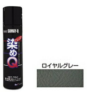 00197670750000 染めQテクノロジィ ミニ染めQエアゾール(ロイヤルグレー) 70ml [ソメキユ00197670750000]