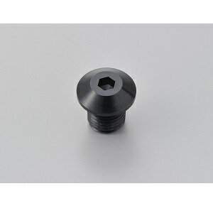 デイトナ ミラー穴埋めボルトM10 正ネジタイプ(ブラック) 99616 DAYTONA