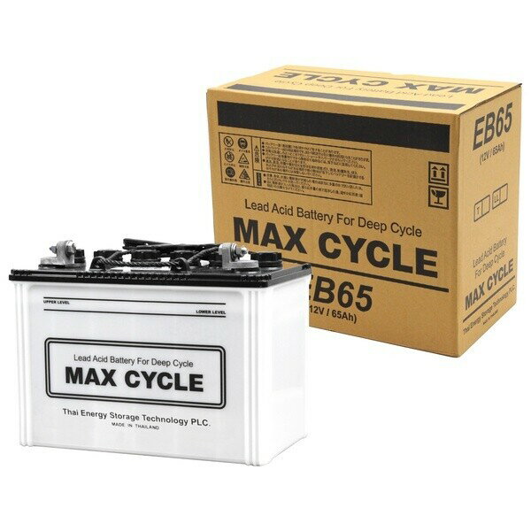 EB-65-LLEBバッテリー MAX CYCLE サイクルサービス用(電動カート他) LL端子