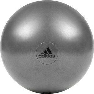 PRA-ADBL11245GR アディダス ジムボール 55cm（グレー） adidas [PRAADBL11245GR]