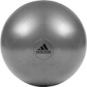 バランスボール　自宅トレ　トレーニング PRA-ADBL11245GR アディダス ジムボール 55cm（グレー） adidas [PRAADBL11245GR]