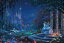 ƥ衼 ȡޥ󥱡 Х Cinderella Dancing in the Starlight 1000ԡD-1000-068 ѥ Disneyzone