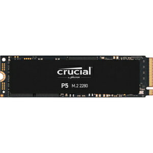Crucial CT1000P5SSD8JP