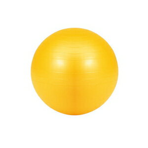 エバニュー ジムボール55 ETB623 EVERNEW [ETB623エバニユ]