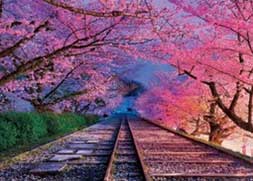 エポック社 日本の風景 桜の蹴上インクライン(京都) 500ピース【05-123】 ジグソーパズル