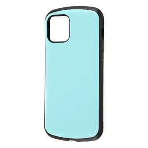 �쥤������ iPhone 12/12 Pro��6.1��������� �Ѿ׷⥱���� ProCa�ʥڡ���֥롼�� RT-P27AC3/PA