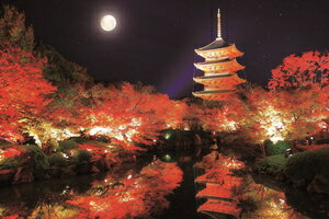 エポック社 日本の風景 秋の東寺 五重塔（京都） 1000ピ