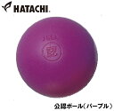 HAC-BH3000-68 ハタチ 公認ボール(パープル) HATACHI グラウンドゴルフ用ボール(4)