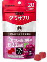 UHA グミサプリ鉄20日分 UHA味覚糖 グミサプリテツ20ニチブン