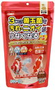 金魚の主食 納豆菌 色揚げ 中粒 430g イトスイ ナツトウキンイロアゲチユウツブ430