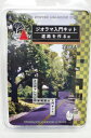 ［鉄道模型］カトー 24-341 ジオラマ入門キット 道路を作る 編