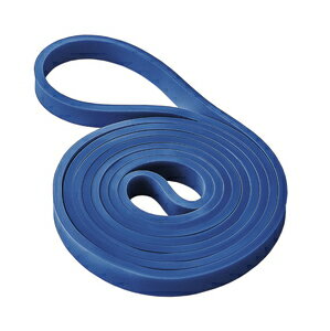 54154 サクライ貿易 筋肉質バンド（スタンダード） erugam エルガム　筋肉質BAND　トレーニングバンド [54154サクライ]