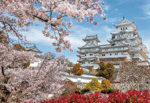 樂天商城 - やのまん 日本の風景 桜時の姫路城(兵庫) 1000コンパクトピース【13-08】 ジグソーパズル