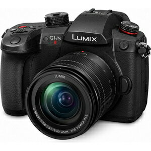 DC-GH5M2M パナソニック ミラーレス一眼カメラ「LUMIX DC-GH5M2」標準ズームレンズキット Panasonic DC-GH5MII