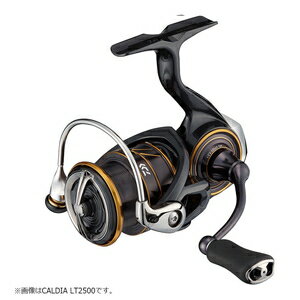 21 カルディア LT3000-CXH ダイワ 21 カルディア LT3000-CXH DAIWA 21 CALDIA