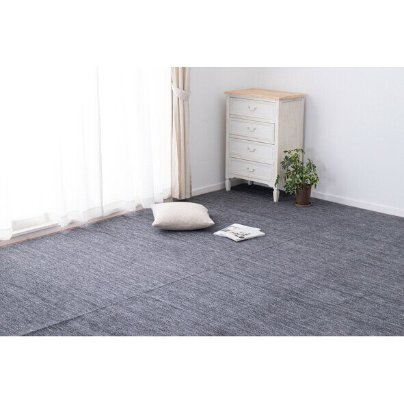 HAGIHARA(萩原) ペットにやさしい平織カーペット ラウム 江戸間3帖(176×261cm・ブラック) ラウムE3BK [ラウムE3BK]