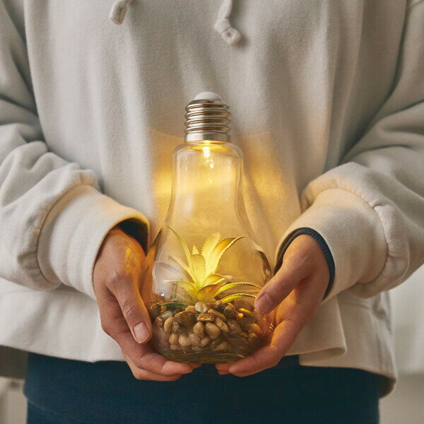 アンファンス 電球型インテリアライト テラリウム(B) EF-RL02B EN FANCE [EFRL02B]